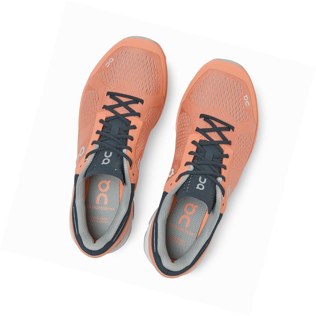 Scarpe da Allenamento Donna On Cloudsurfer Corallo Blu Marino | 96YNJMZWU